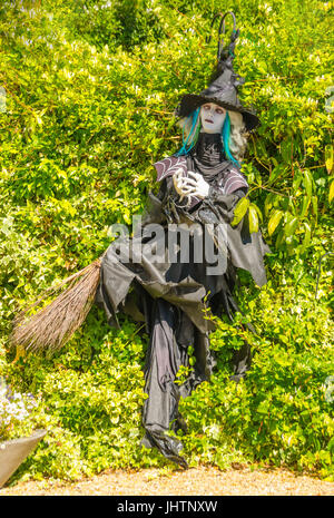 Witch mannequin placed in hedge at Talaton Scarecrow Festival Devon UK Stock Photo