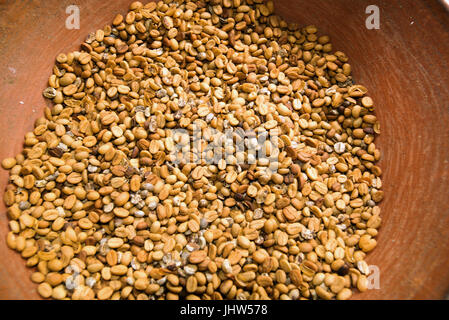 Roasted Luwak coffee beans Bali Indonesia. Stock Photo