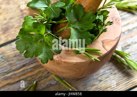 Different herbs on a old wooden table . Wooden mortar with rosemary, coriander, thyme and parsley. Stock Photo