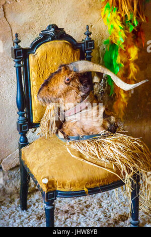 He-goat head on a chair. Witchery Week 2016. Stock Photo