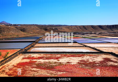 Salt extraction plant Salinas de Janubio, Island Lanzarote, Canary Islands, Spain. Stock Photo