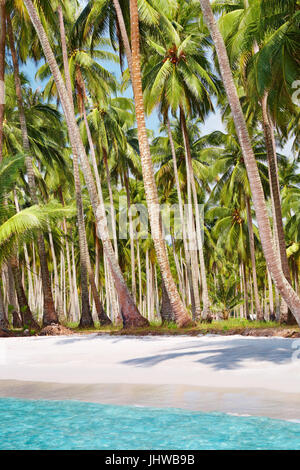 Tropical beach with palm grove, Kood island, Thailand
