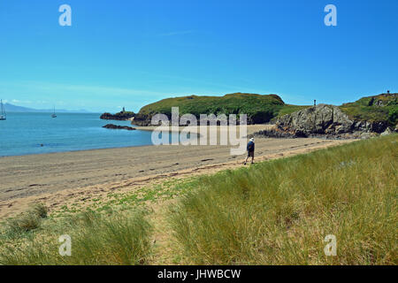 Man walking along the beach at Llanddwyn Island, Anglesey, Wales Stock Photo