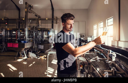 Young man working at small craft beer making factory and checking the quality of beer. Young businessman testing the beer at brewery. Stock Photo