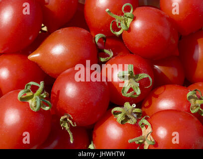 Red tomatoes background. Group of tomatoes Stock Photo