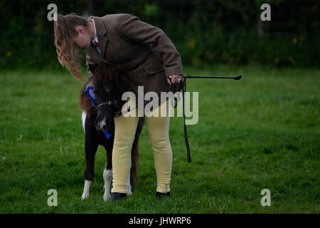 A Shetland pony contestant during a show at the Heavy Horse Show at the National Museum of Rural Life in east Kilbride. Stock Photo