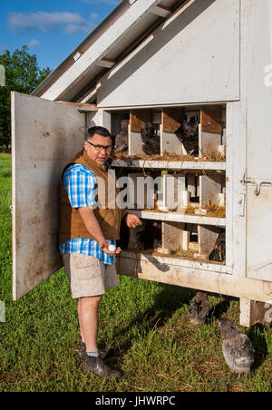 Farmer wearing casual clothes, 40's-50's male shows egg in hand, near open hen house Stock Photo