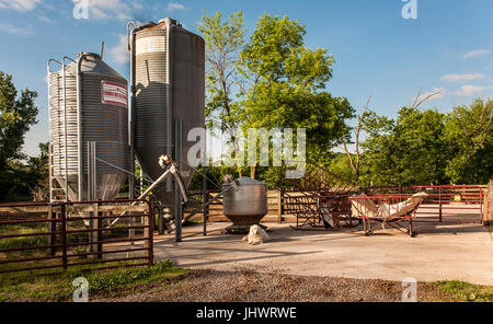 Pyrenees dog lying in front of farm tanks of feed, green leafed trees, blue sky Stock Photo