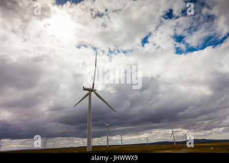Wind turbines on farmland in Myster, Caithness Scotland UK enegy Stock Photo