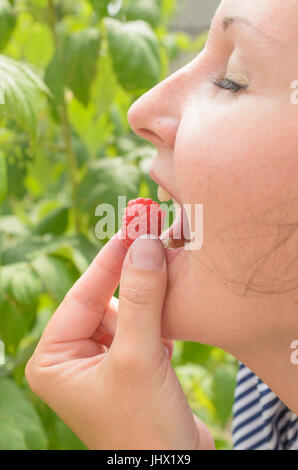 The girl rips the raspberries from the bush and lies in her mouth Stock Photo