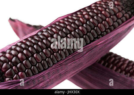 purple corn isolated on white background Stock Photo