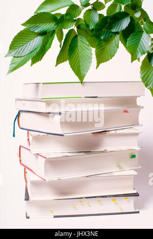 Stack of books isolated on white background and Leaves Stock Photo