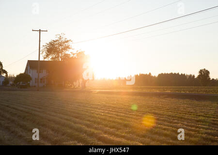 Farm at Sunset Stock Photo