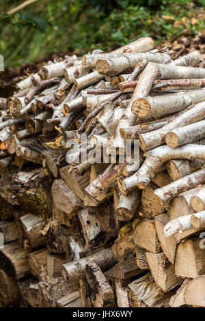 A pile of silver birch logs stored ready for burning on an open fire or garden chiminea. Stock Photo