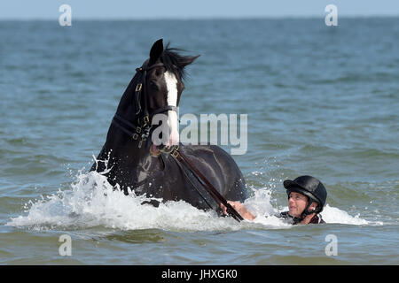 Holkham Beach, Norfolk, UK. 17th July, 2017. The Household Cavalry Mounted Regiment take part in training and relaxation on Holkham Beach in Norfolk, England as part of their annual summer camp where horses and riders get away from ceremonial duties in London.     After taking park in Trooping the colour and the Queens birthday parade on Wednesday 12th July, the Mounted Regiment turned out for its final parade of the season, to escort Her Majesty The Queen along with King Felipe and Queen Letizia of Spain. Credit: MARTIN DALTON/Alamy Live News Stock Photo