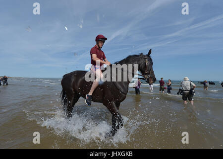 Holkham Beach, Norfolk, UK. 17th July, 2017. The Household Cavalry Mounted Regiment take part in training and relaxation on Holkham Beach in Norfolk, England as part of their annual summer camp where horses and riders get away from ceremonial duties in London.     After taking park in Trooping the colour and the Queens birthday parade on Wednesday 12th July, the Mounted Regiment turned out for its final parade of the season, to escort Her Majesty The Queen along with King Felipe and Queen Letizia of Spain. Credit: MARTIN DALTON/Alamy Live News Stock Photo