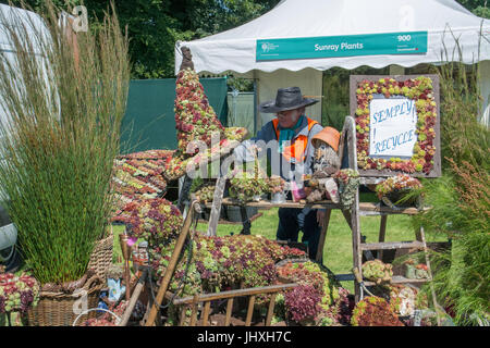 Tatton Park, Cheshire, UK. 17th July 2017. UK Weather: Build up day for the exhibitors at the 2017 Tatton Park RHS flower show. Credit: Simon Maycock/Alamy Live News Stock Photo