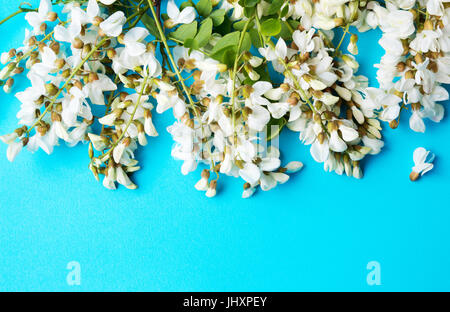 Acacia flowers for a healthy herbal tea Stock Photo