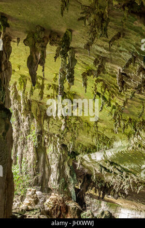 Cave in Niah national park Stock Photo