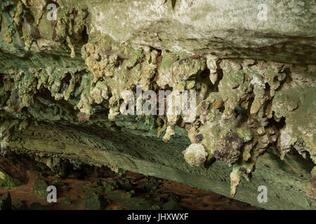 Cave in Niah national park Stock Photo