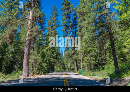 A view of the Ponderosa Pines Scenic Byway, Idaho Stock Photo