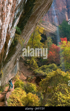 Two men photograph a waterfall spilling from an overhead ledge in Zion National Park. Stock Photo