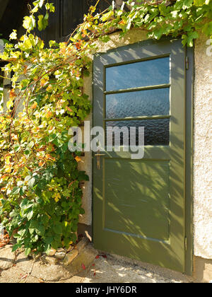 Door with wine grow around - Door overgrown with vine, Tür mit Wein umwachsen - Door overgrown with vine Stock Photo