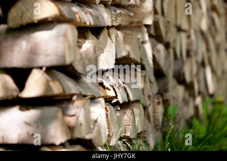 Firewood pile, fire wood, wooden pile - stack of firewood, Brennholzstapel, Feuerholz, Holzstapel - Stack of firewood Stock Photo