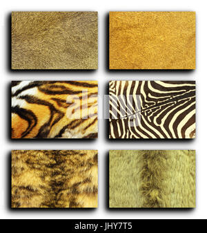 collection of wild animals fur over white background, leather textures for your design Stock Photo