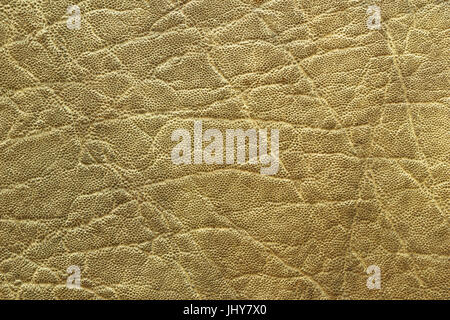 detailed african elephant pelt texture, animal real leather Stock Photo