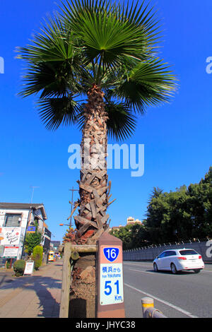 Fussa Base Side Street on Route 16 Alongside Yokota Air Base in Fussa city Tokyo Japan Stock Photo