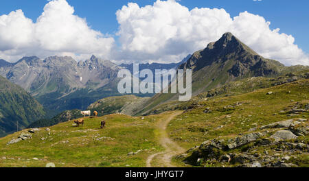 Panorama in the Berninapass, grey alliances, Switzerland - View from Bernina passport, Grisons, Switzerland, Panorama am Berninapass, Graubünden, Schw Stock Photo