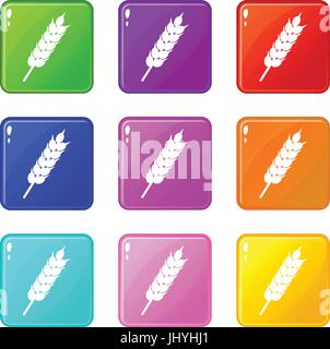 Dried wheat ear set color collection Stock Vector Image & Art - Alamy