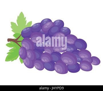 Fresh bunch of grapes purple icon on white background. vector illustration in flat style Web site page and mobile app design. Stock Vector