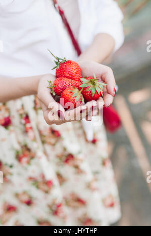 woman in flower dress holding a bunch of strawberries. Stock Photo