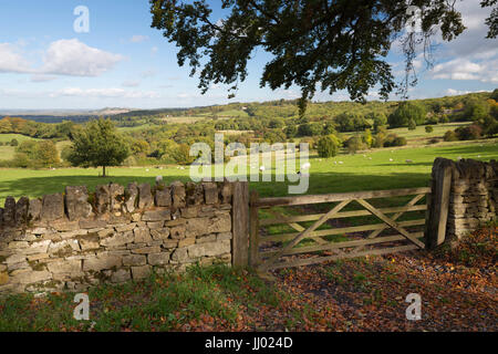View over Cotswold landscape and drystone wall with wooden five bar gate, Saintbury, Cotswolds, Gloucestershire, England, United Kingdom, Europe Stock Photo