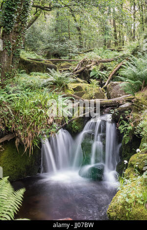 Beautiful waterfall in the forest Stock Photo