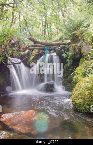 Beautiful waterfall in the forest Stock Photo