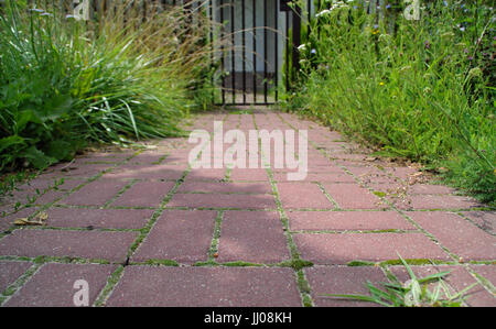Red cobblestone concrete walkingpath to an estate with grass on the sides. Way to home concept. Stock Photo