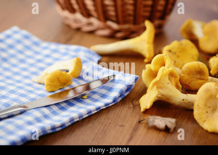 Basket of fresh Golden Chanterelles mushrooms on table Stock Photo