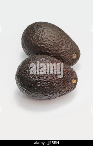 Two brown avocado fruits isolated on white. Stock Photo