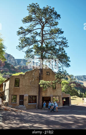 Old building with big tree, Slide Rock State Park , Oak Creek Canyon,  Arizona, USA Stock Photo