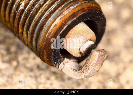 Used spark plug from a car engine Stock Photo