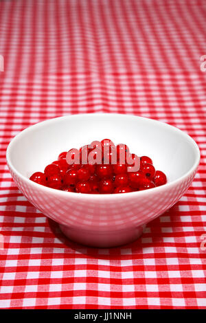 Organic ripe red currants in a white bowl on a red and white chequered red and white tablecloth Stock Photo