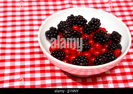 Organic ripe blackberries and redcurrants in a white bowl on a red and white chequered red and white tablecloth Stock Photo