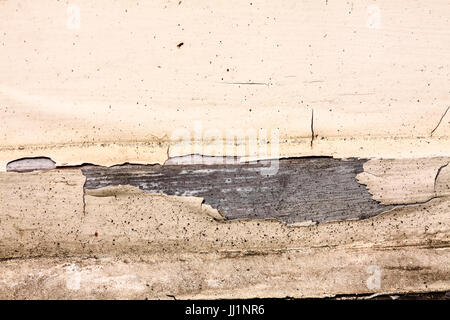Paint peeling from a wooden window frame in need of repair Stock Photo