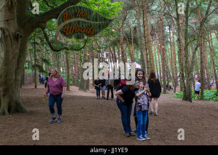 Family taking selfie in the woodland area with 'In the Woods' leaf sign  hanging from tree. Sunrise Arena in the background. Latitude Festival, Suffol Stock Photo