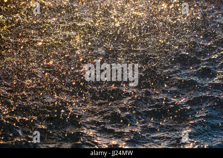 Golden light reflecting off a water surface with rain as an abstract background glitter texture Stock Photo