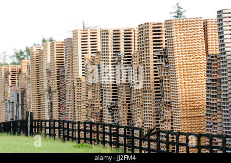 Wooden pallets piled up high at a pallet factory in Ireland. Stock Photo