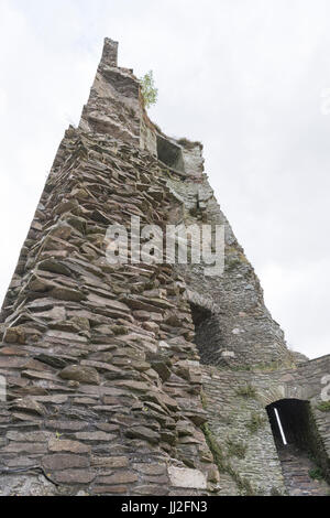 Ferns Castle, County Wexford, Ireland, an Anglo-Norman fortress, built in the middle of the 13th century by William, Earl Marshall. Today about half o Stock Photo